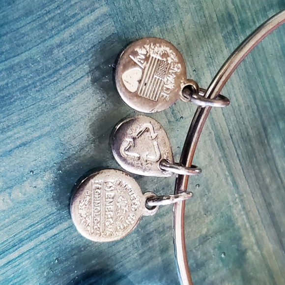 Alex and Ani Large Crystal Bangle Bracelet - Picture 3 of 4